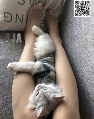 国产综合图区_电影无删减版