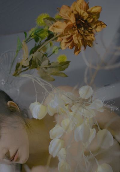 www免费视频在线观看_BD韩语日韩免费观看